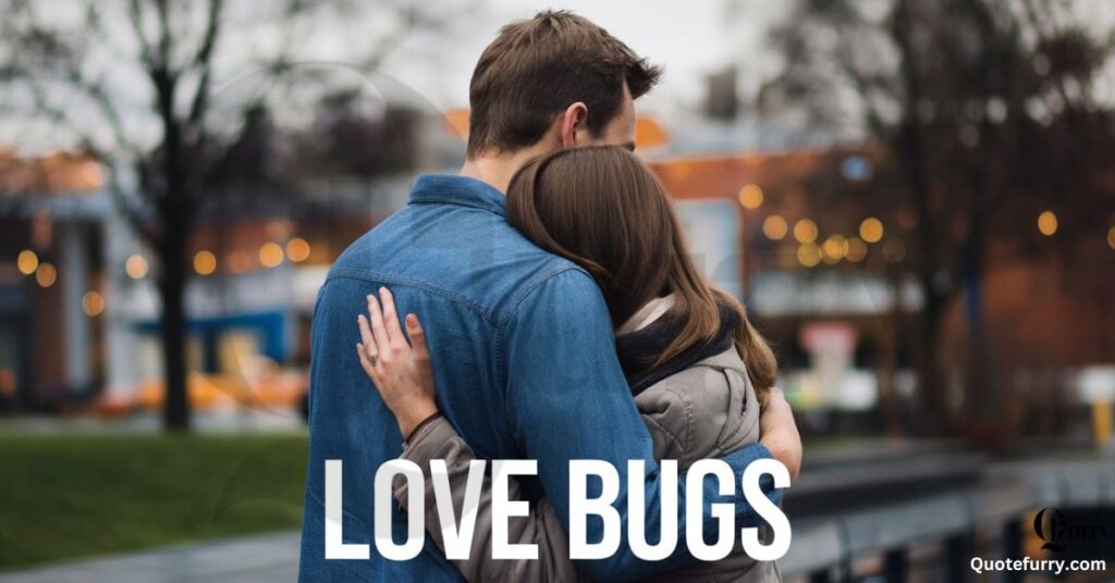 Love Bugs